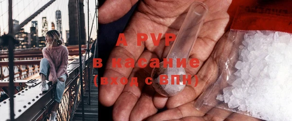 мескалин Богданович